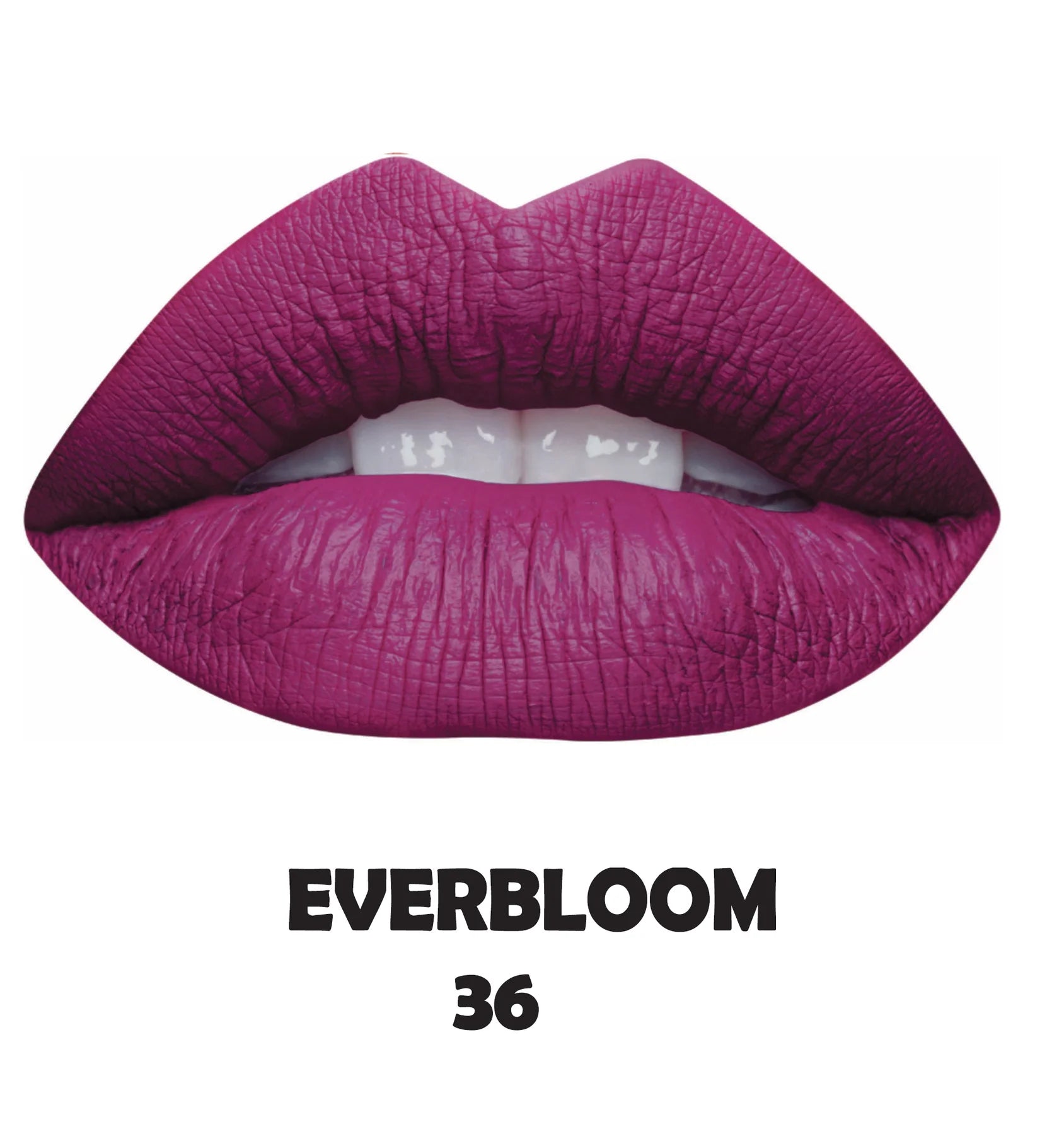 Jumbo Lip & Eye Pencil (12 piece)