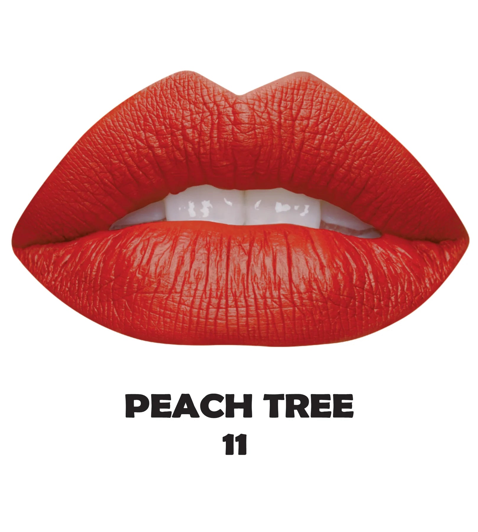 Jumbo Lip & Eye Pencil (12 piece)