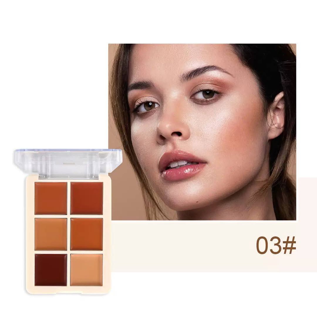 MSYAHO Professional 6 Color Natural Concealer Palette