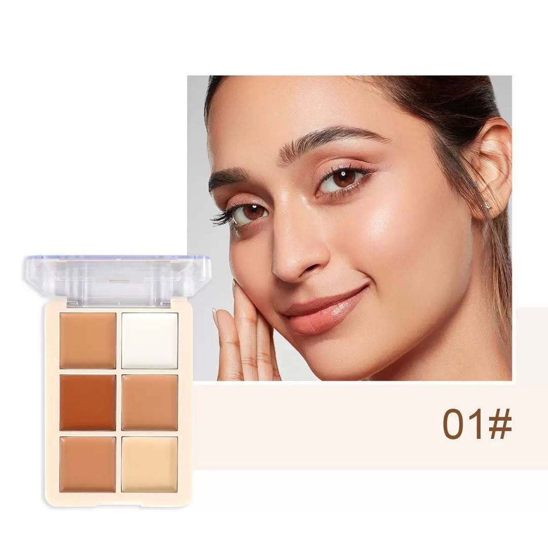 MSYAHO Professional 6 Color Natural Concealer Palette