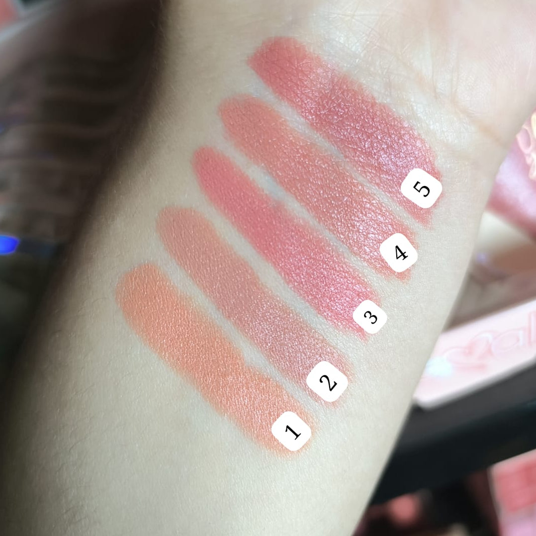 SIHEGLAN LIPSTICK & LINER